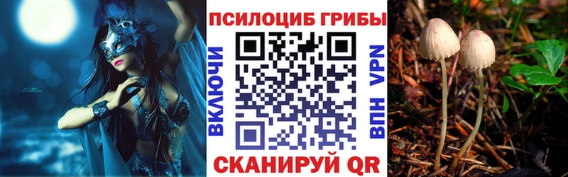Купить  Поронайск  Галлюциногенные грибы Cubensis 